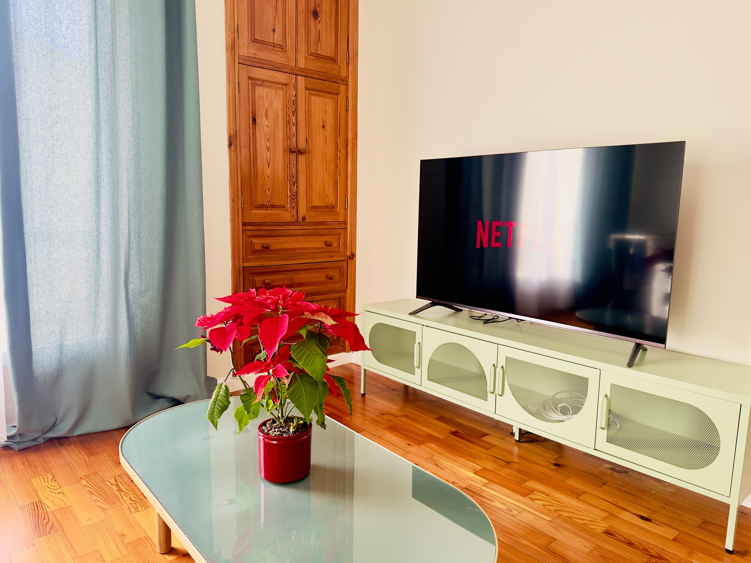 Cosy living room corner with a flowering plant and Netflix on the TV