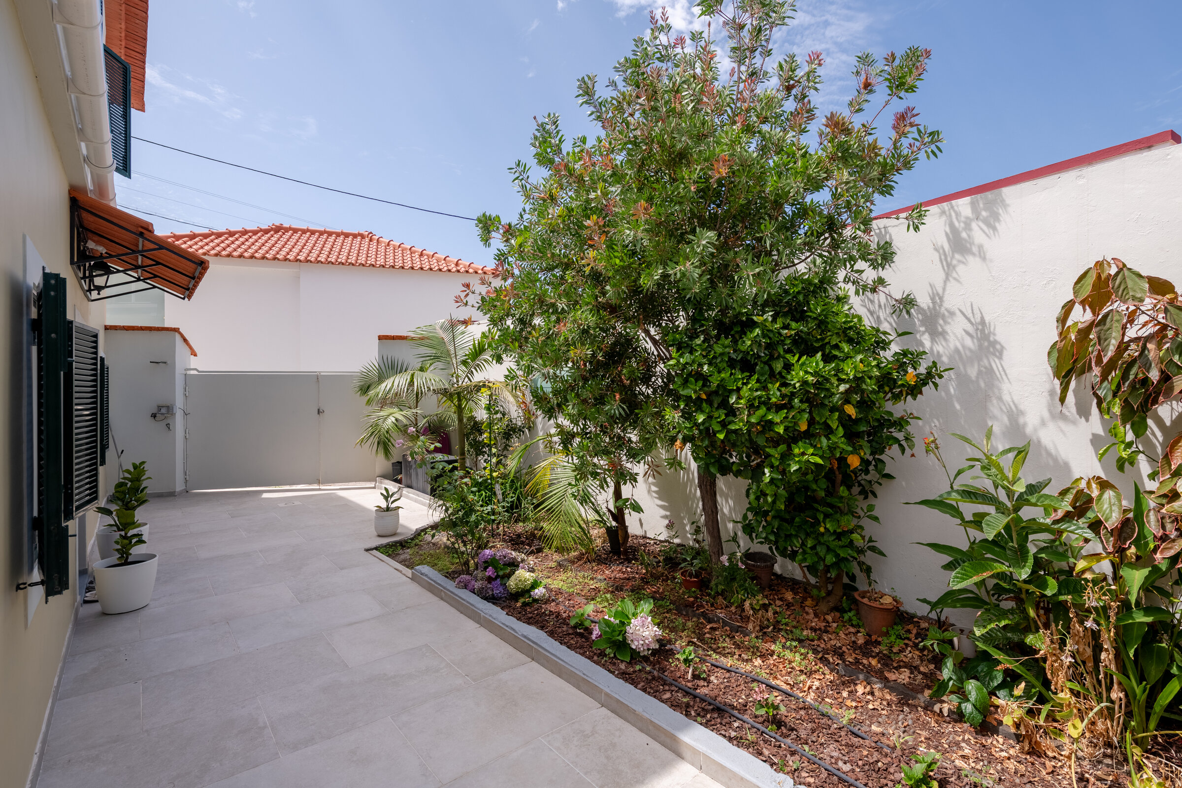 Garden path lined with citrus trees leading to the entrance